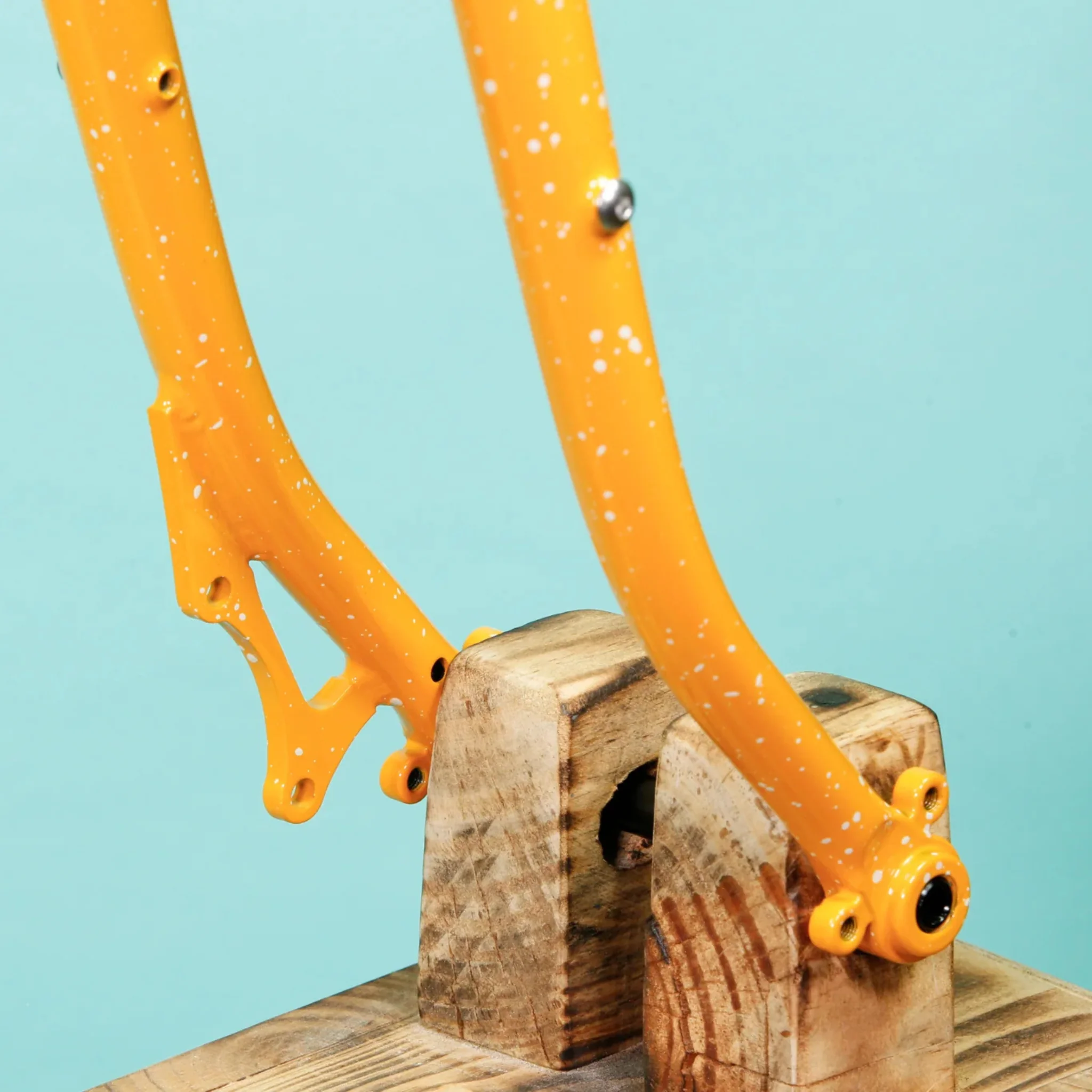 Evasion x Blue Lug Special Edition - Image 7