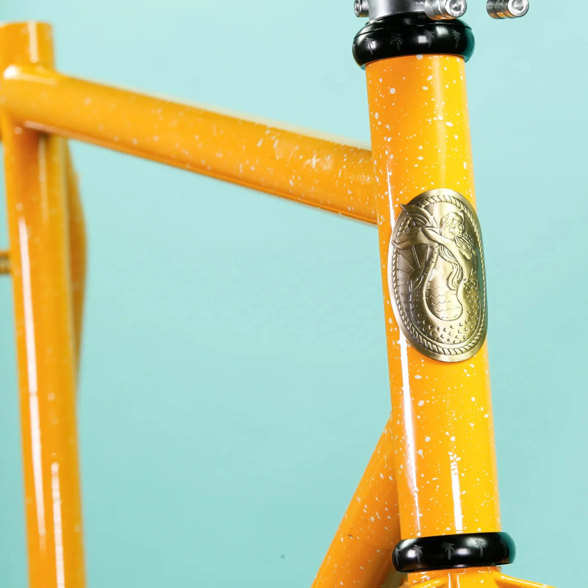 Evasion x Blue Lug Special Edition - Image 8