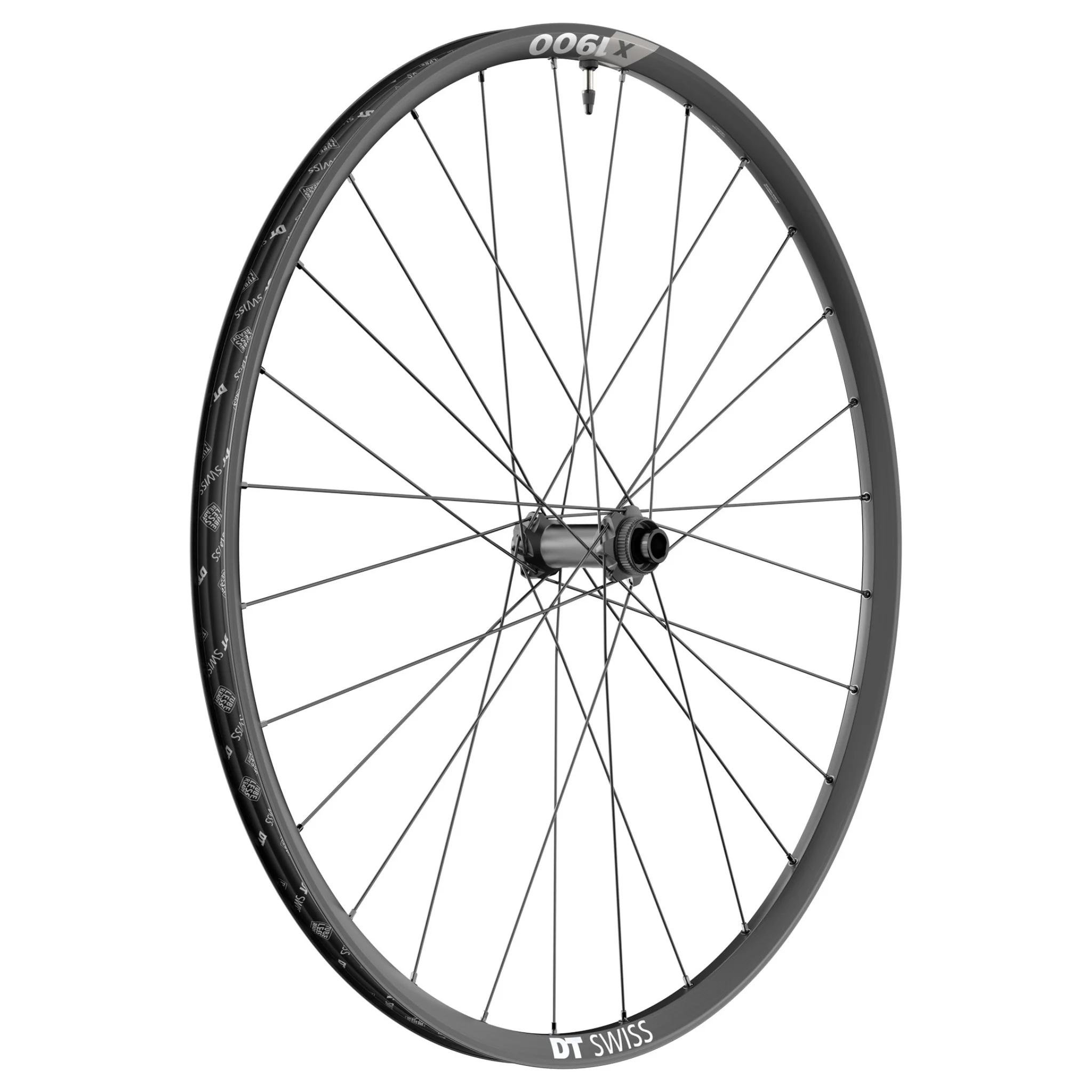 X 1900 SP 29 CL 25 - Image 3