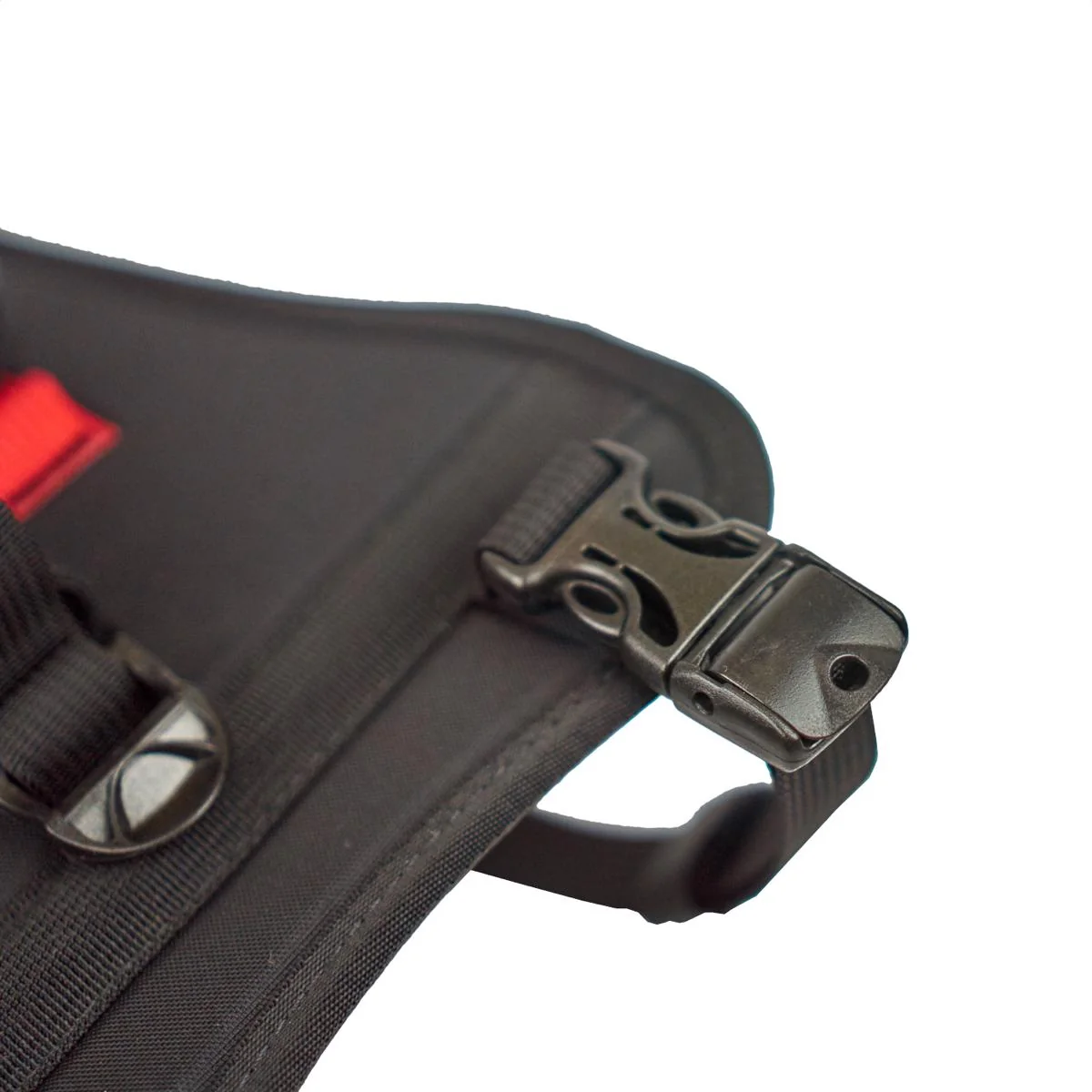 Harness - Image 5