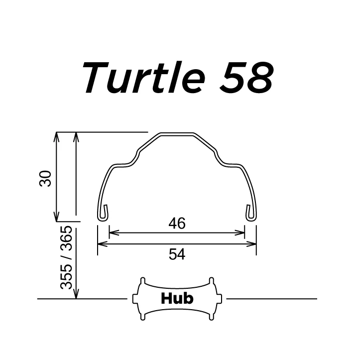 Turtle 58 - Image 2